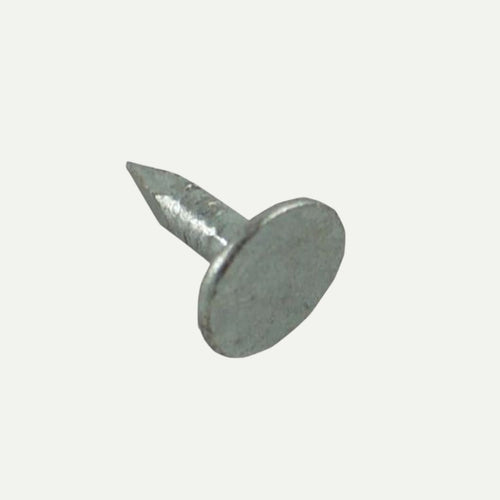 A single John George Galvanised Clout Nail 13 x 3mm (500g), featuring a silver finish, wide flat head, and pointed tip, shown on a white background. Commonly used for secure, durable shed roofing installations.