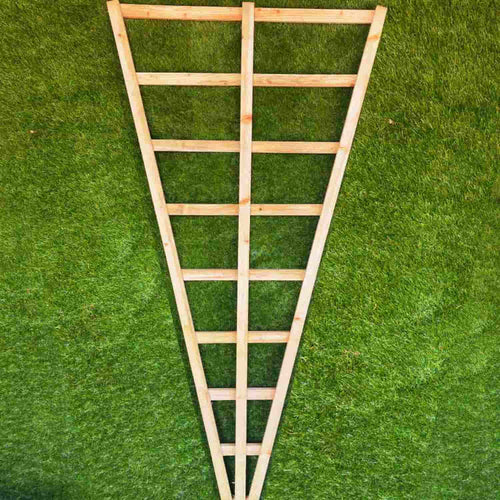 Wooden triangle shaped training trellis on a grassy background