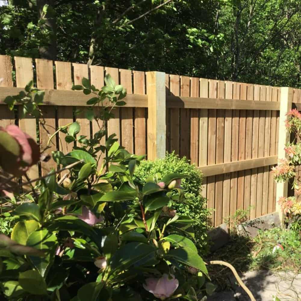 A wooden garden fence with vertical slats and supporting posts stands behind green bushes and flowering plants, with leafy trees visible in the background on a sunny day.