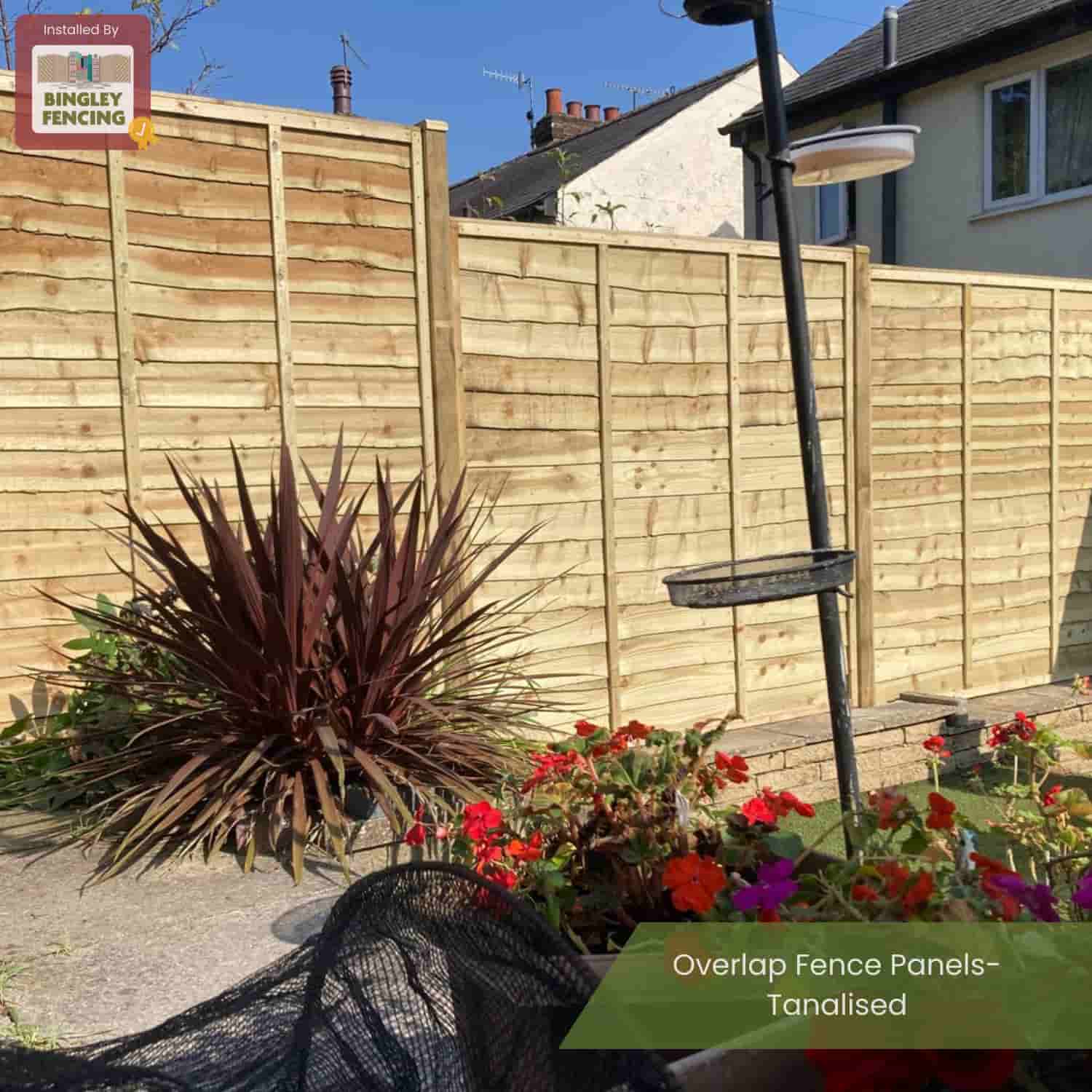 A vibrant garden bursts with colorful flowers and a spiky plant in front of tall, light brown Bingley Fencing Overlap Fence Panels – Tanalised. A black metal pole stands nearby.
