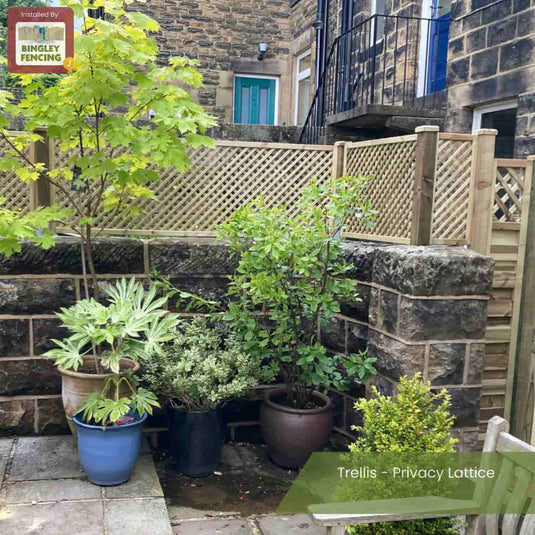 A cozy patio with potted plants sits in front of a stone wall and KDM’s Trellis - Privacy Lattice - Rectangle 45cm x 183cm (PL8), made with pressure-treated wood for fences. A sign labels it as “Trellis - Privacy Lattice.”.