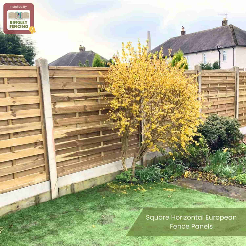 Load image into Gallery viewer, A neatly maintained garden features KDM Square Horizontal European Fence Panels, a yellow-flowering shrub, houses in the background, and a small patch of grass in the foreground.