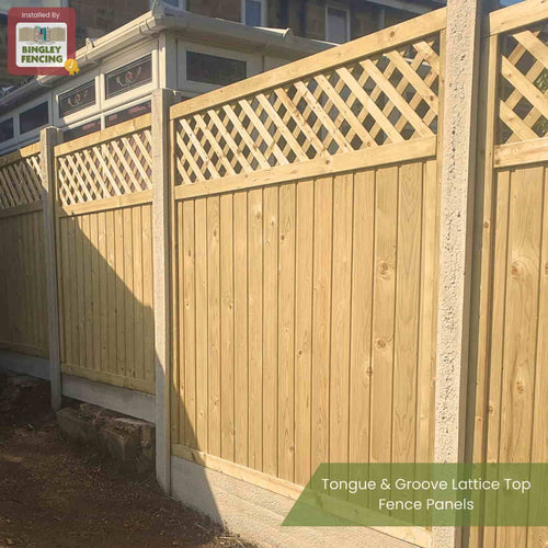 A wooden fence features vertical Tongue & Groove Lattice Top Fence Panels (TGLT) by KDM, topped with a diagonal lattice and supported by concrete posts. Sunlight casts shadows, with signs reading "Installed by Bingley Fencing" and "KDM TGLT Panels.