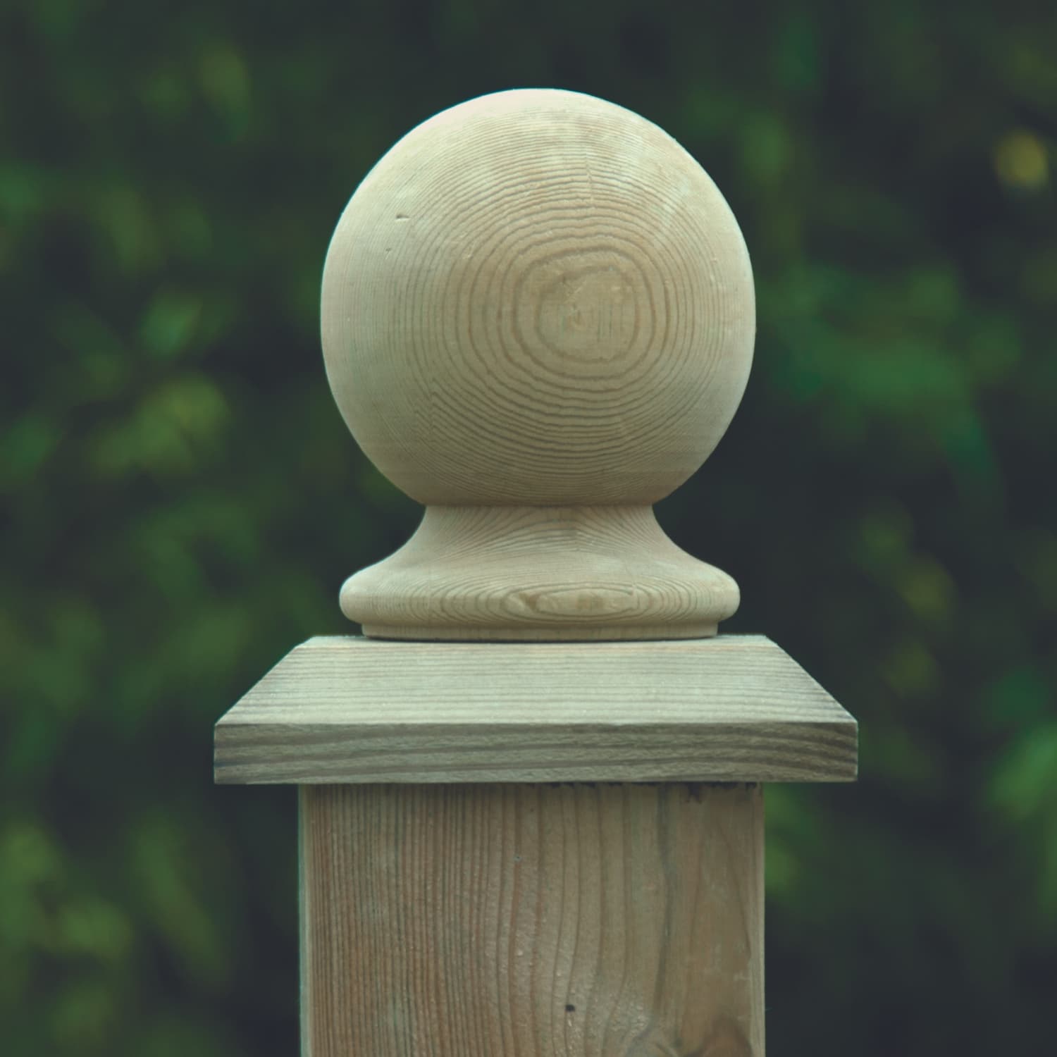 A close-up shows a smooth, round Bingley Fencing Fence Post Cap (various sizes) topping a wooden post with visible wood grain, set against a blurred green background.