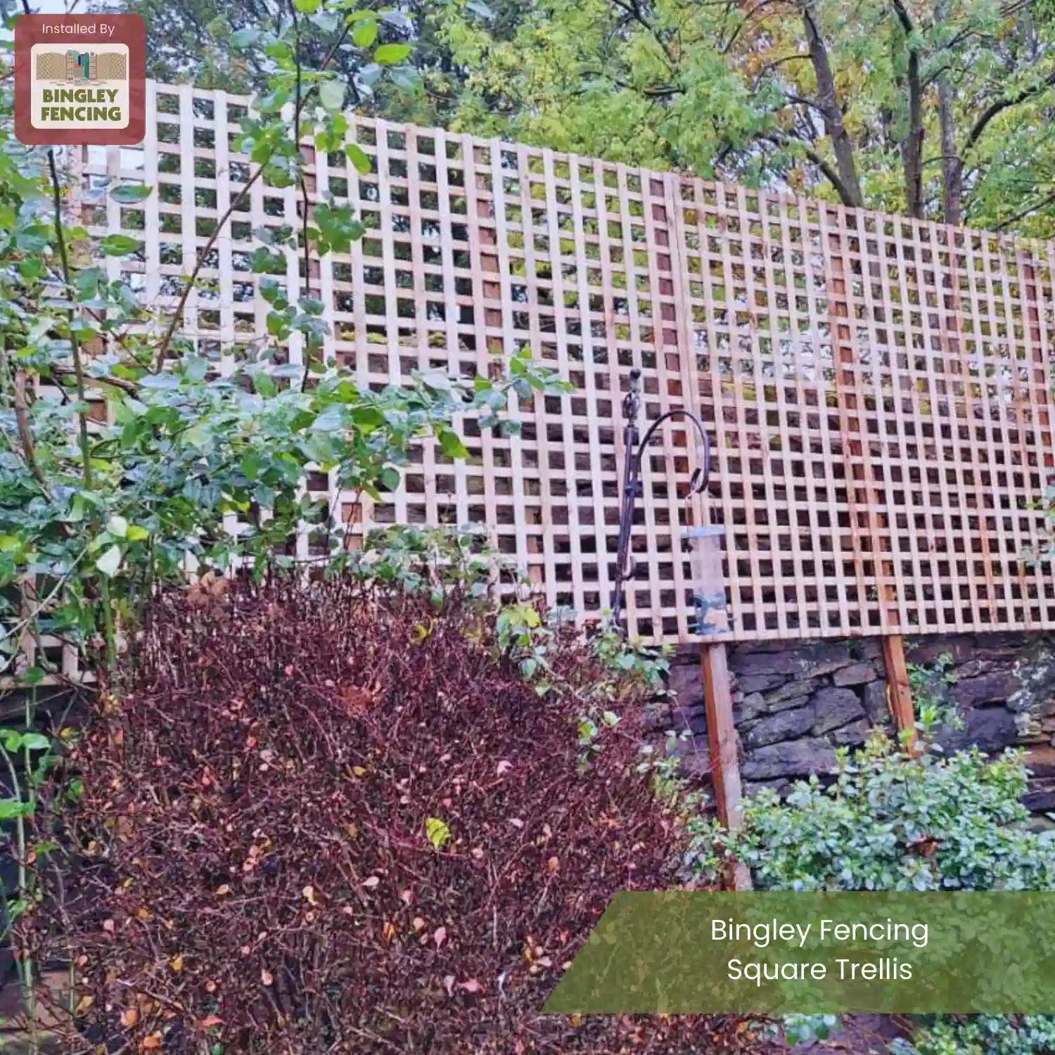 A tall wooden square trellis fence stands behind shrubs and greenery in a garden. The trellis is supported by stone walls and posts, with trees and foliage in the background. Text reads Bingley Fencing Square Trellis.