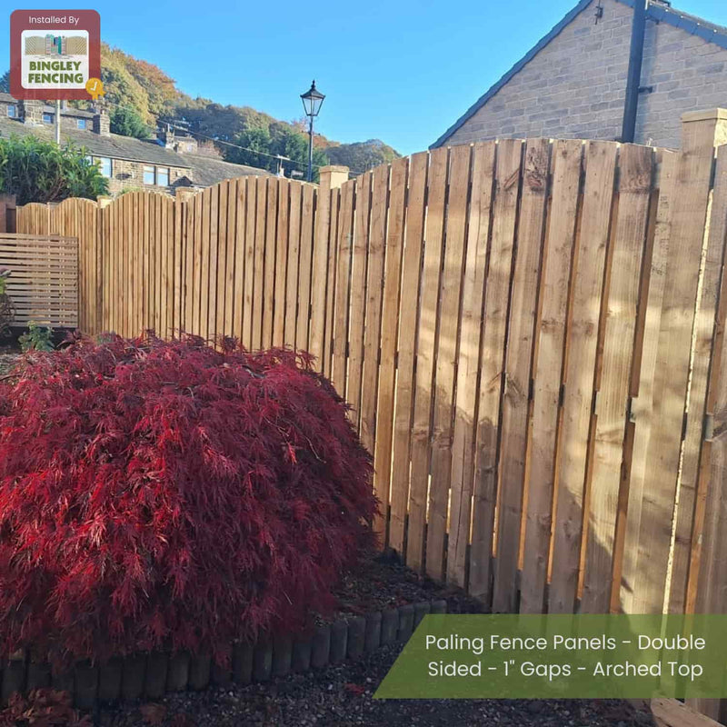 Load image into Gallery viewer, A garden features Bingley Fencing’s Paling Fence Panels - Double Sided - 1 Gaps - Arched Top. A red-leafed shrub sits in front, with houses and trees in the background.