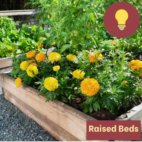 A wooden raised garden bed made from Bingley Fencing’s Railway Sleepers houses a variety of small plants on a gravel surface. Terracotta pots and vibrant green leaves create the backdrop. An icon of a light bulb with the text “Railway Sleepers” is positioned in the corners, emphasizing essential landscaping elements.
