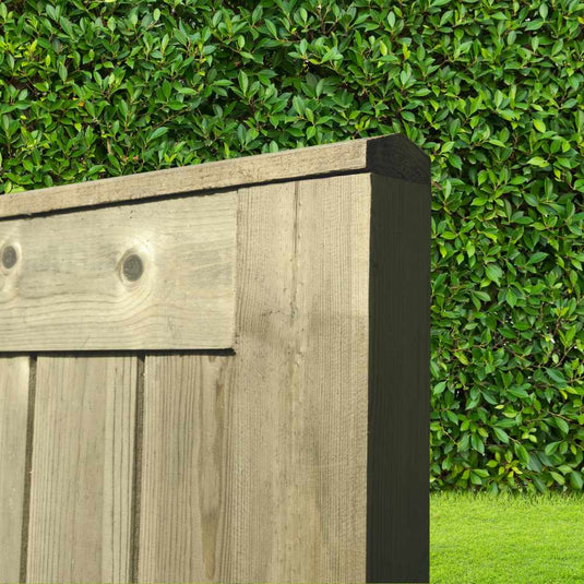 Close-up of a KDM Elite Tongue & Groove Euro-Gate (ETG180) privacy fence corner, showcasing its wood grain and knots against a vibrant green hedge background with small leaves.