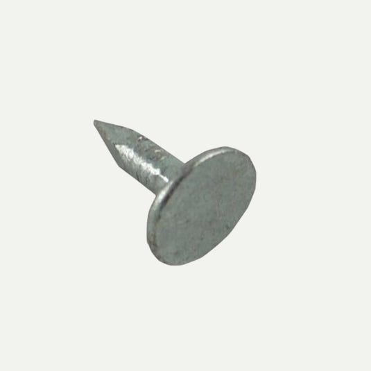 A single John George Galvanised Clout Nail 13 x 3mm (500g), featuring a silver finish, wide flat head, and pointed tip, shown on a white background. Commonly used for secure, durable shed roofing installations.