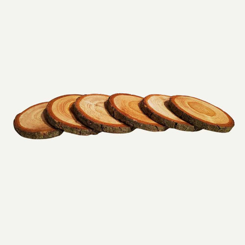 Five Bingley Fencing Log Roll Coasters, featuring visible tree rings and bark edges, are arranged in a slightly overlapping row on a plain white background to highlight their natural rustic charm.