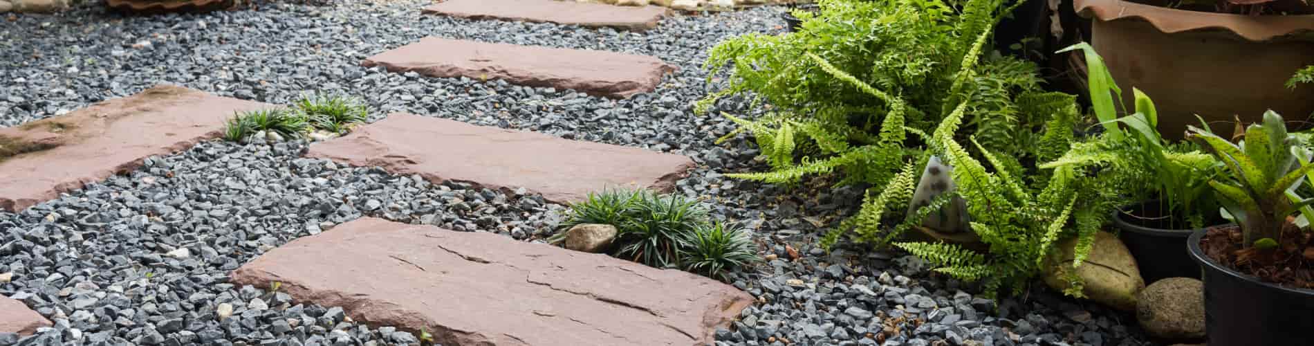 Stepping stones set in gray gravel create a garden path bordered by various green plants and ferns in pots and soil, providing a tidy and inviting outdoor space.