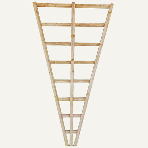 Fan shaped trellis with wooden lats for climbing plants