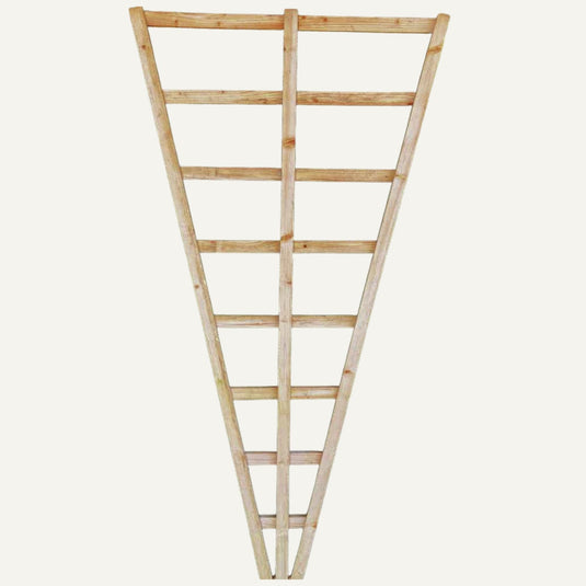 Fan shaped trellis with wooden lats for climbing plants
