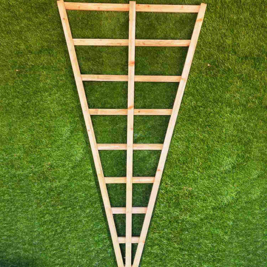 Wooden triangle shaped training trellis on a grassy background 