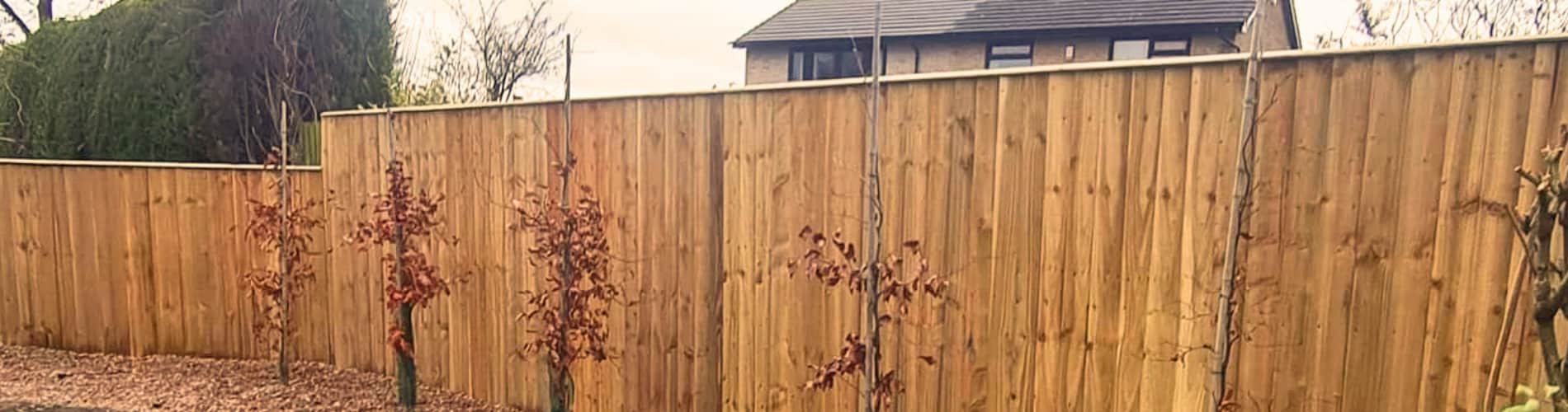 Wooden privacy fence runs along a yard with several young trees planted in front, supported by stakes. In the background, a house with a grey roof and multiple windows is partially visible.