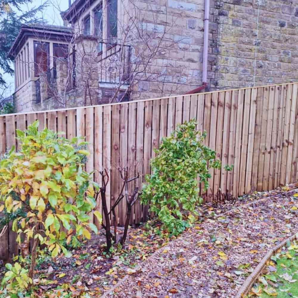 A wooden fence runs along a sloped backyard with some green and yellow leafy bushes and fallen autumn leaves on the ground; a stone house is visible in the background.