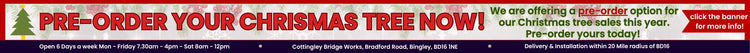 Advertisement for pre-ordering a Christmas tree with a red banner and green tree graphic.