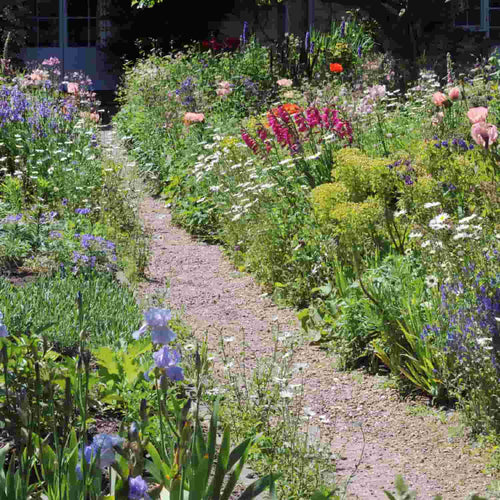 A narrow dirt path winds through a vibrant Bradford garden with blooming wildflowers and foliage, enhanced by The Heritage Stone Company's Blue Slate - 40mm Pieces - 20kg decorative aggregate, on a sunny day.