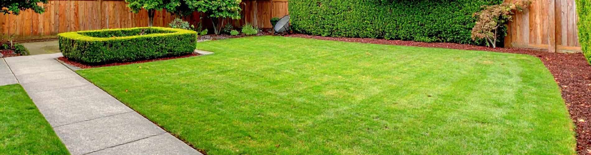 A neatly manicured backyard with a green lawn, square hedge, concrete walkway, wooden fence, and shrubs along the edges.