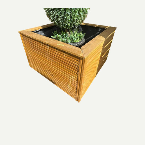 A Large Square Garden Planter by Bingley Fencing, expertly crafted from pressure treated timber with modern horizontal slats, showcases a neatly potted topiary shrub. This stylish piece is inspired by the premium garden planters that West Yorkshire is renowned for and is displayed against a plain white background.