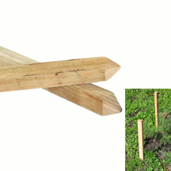 Wooden stakes with a close-up inset showing them in the ground.