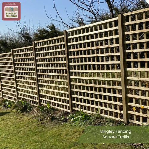 A long wooden square trellis fence runs along a grassy area with some plants at its base, under a partly cloudy sky. Text reads Bingley Fencing Square Trellis.