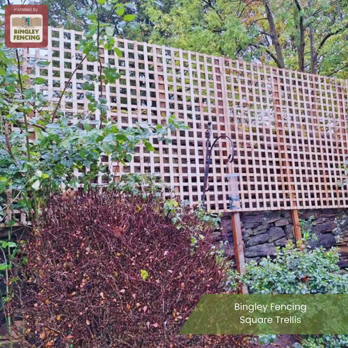 A tall wooden square trellis fence stands behind shrubs and greenery in a garden. The trellis is supported by stone walls and posts, with trees and foliage in the background. Text reads Bingley Fencing Square Trellis.