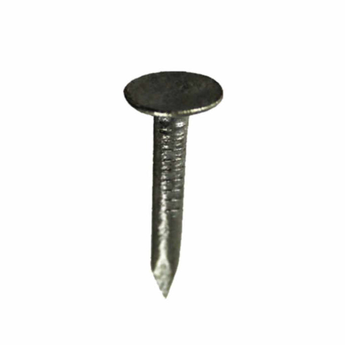 Clout Nails 3mm Thick x 13mm Long- 500G