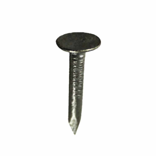 Close-up of a single Bingley Fencing Clout Nail, 3mm thick and 13mm long, featuring a flat circular head and pointed tip, positioned upright against a white background.