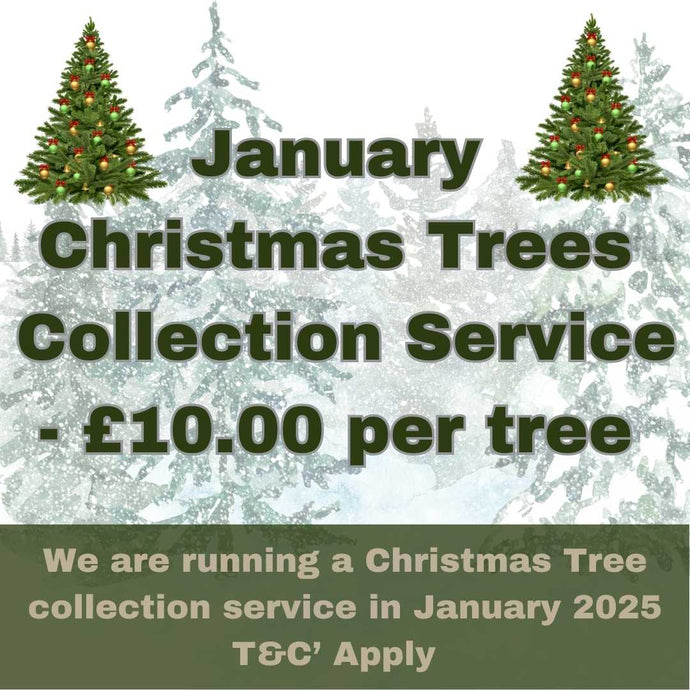 Promotional image for Bingley Fencings Christmas Tree Collection & Disposal Service, available on Monday, 6th January 2025. Priced at £10.00 per tree, it features decorated trees and notes that terms and conditions apply.