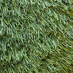 sample square of astroturf or artifical grass